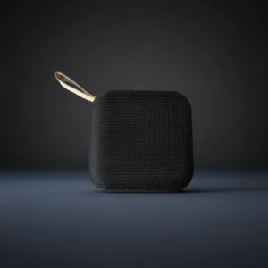 اسپیکر وایرلس